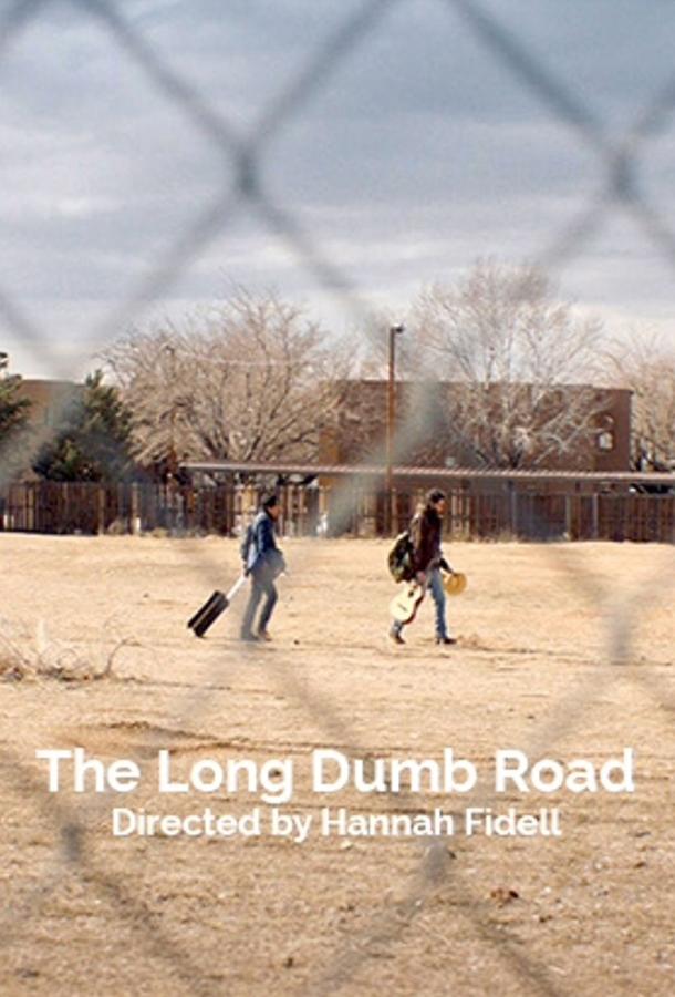 Долгая идиотская дорога / The Long Dumb Road (2018) 