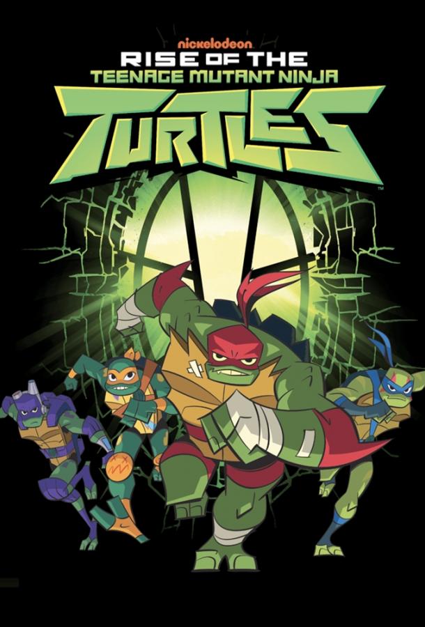 Эволюция Черепашек-ниндзя / Rise of the Teenage Mutant Ninja Turtles (2018) 