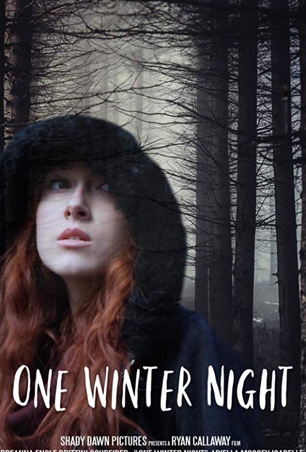 Однажды зимней ночью / One Winter Night (2019) 