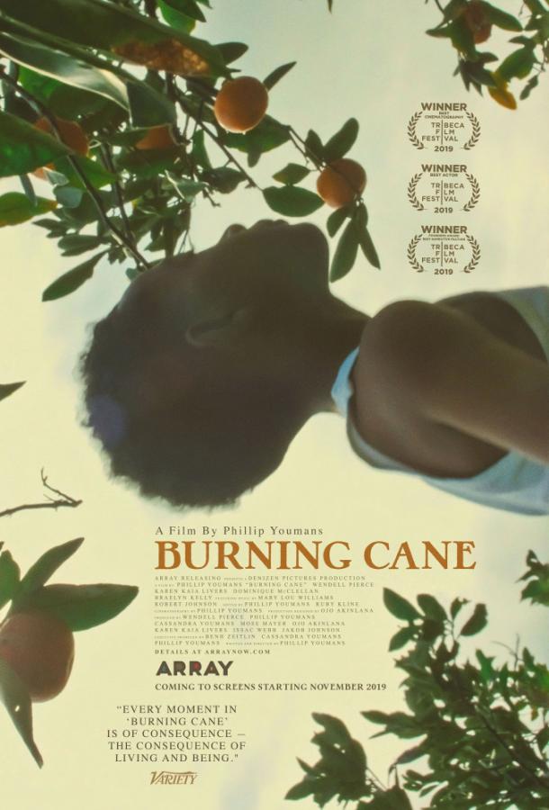 Горящий тростник / Burning Cane (2019) 