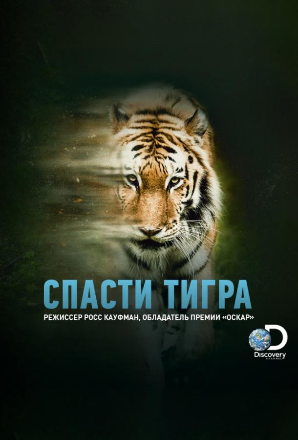 Animal Planet: Спасти тигра / Tigerland (2019) 