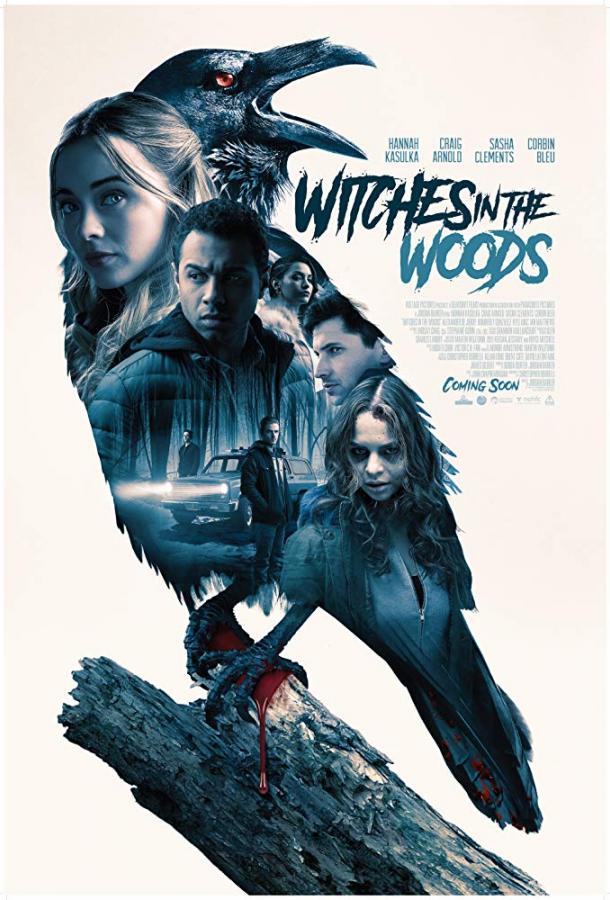 Проклятый лес / Ведьмы в лесу / Witches in the Woods (2019) 