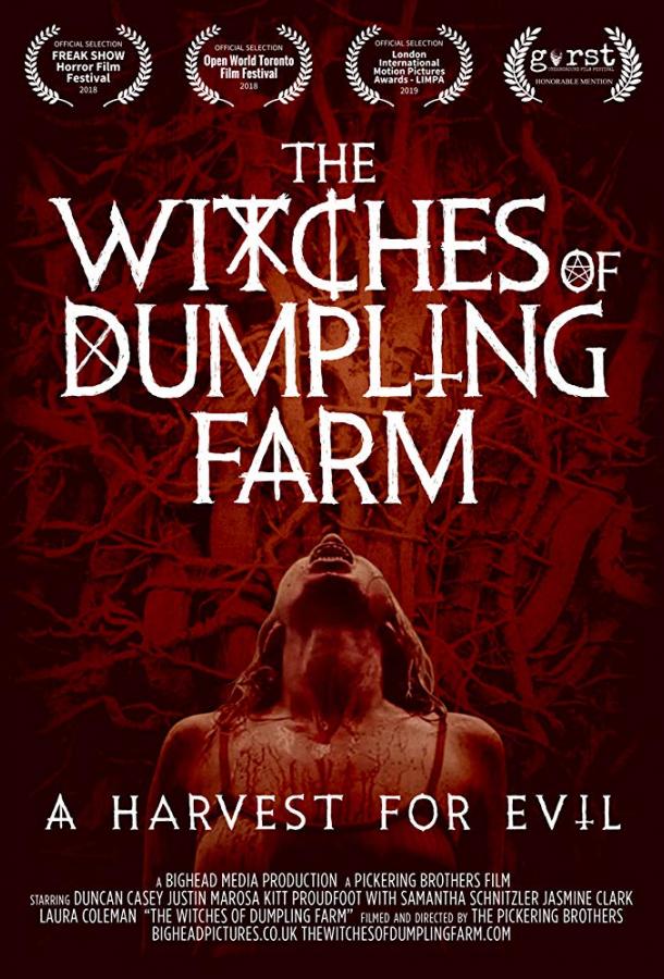 Злобные Ведьмы / Ведьмы с Пельменной Фермы / Wicked Witches / The Witches of Dumpling Farm (2018) 