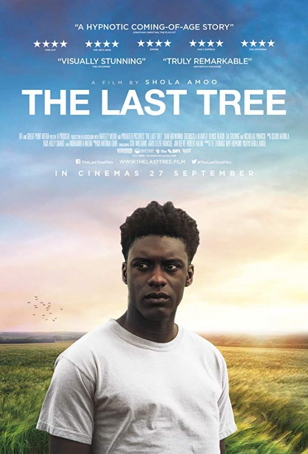 Последнее дерево / The Last Tree (2019) 