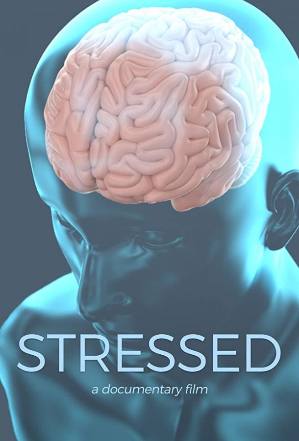 В состоянии стресса / Stressed (2019) 