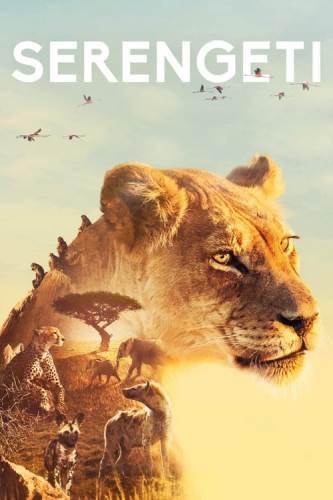 BBC: Серенгети / Serengeti (2019) 