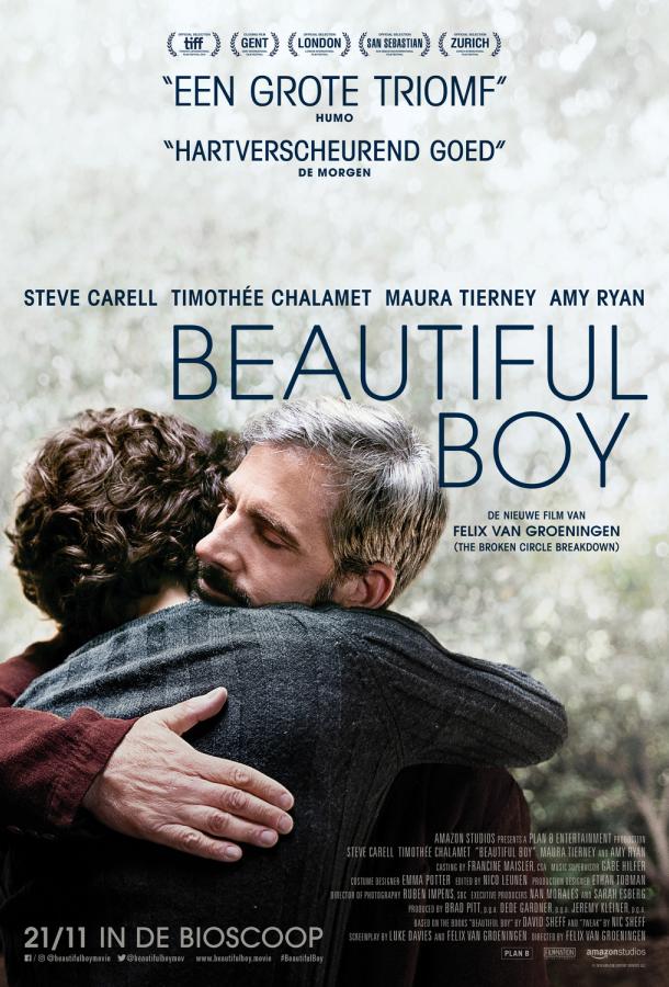 Красивый мальчик / Beautiful Boy (2018) 