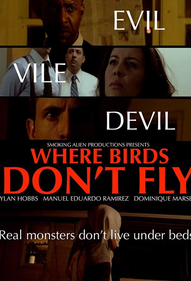 Где птицы не летают / Where Birds Don't Fly (2017) 