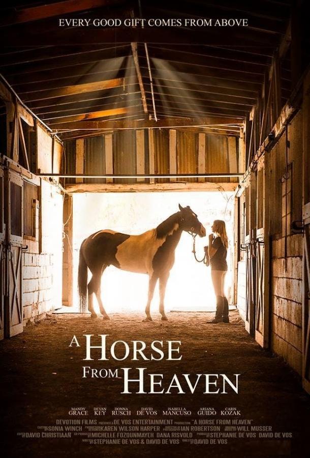 Небесный конь / A Horse from Heaven (2018) 