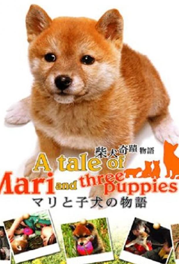 История Мари и трех щенков / Mari To Koinu No Mongatari (2007) 