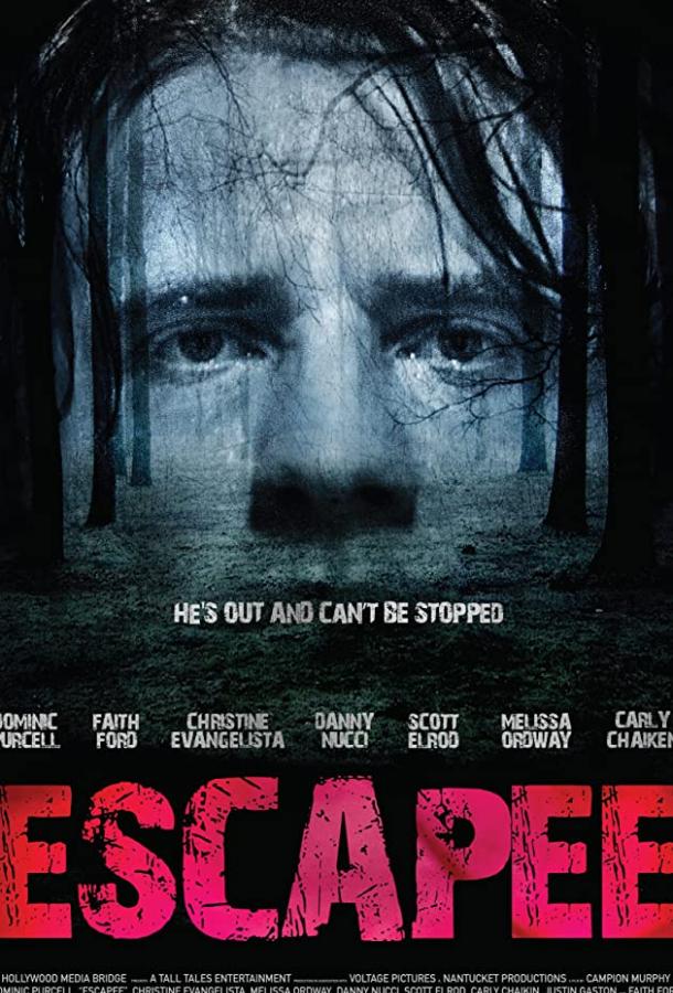 Беглец / Escapee (2011) 