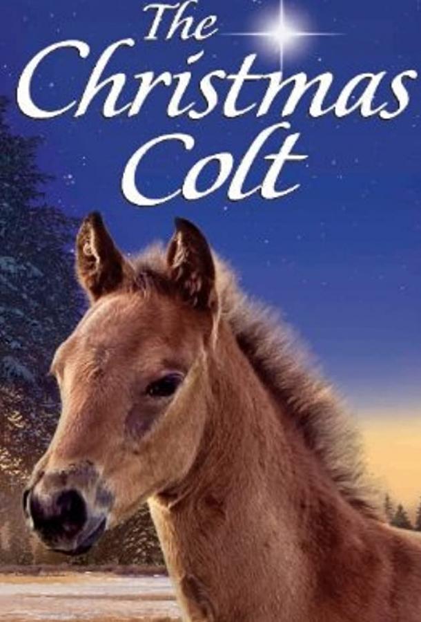 Рождественский жеребёнок / The Christmas Colt (2013) 