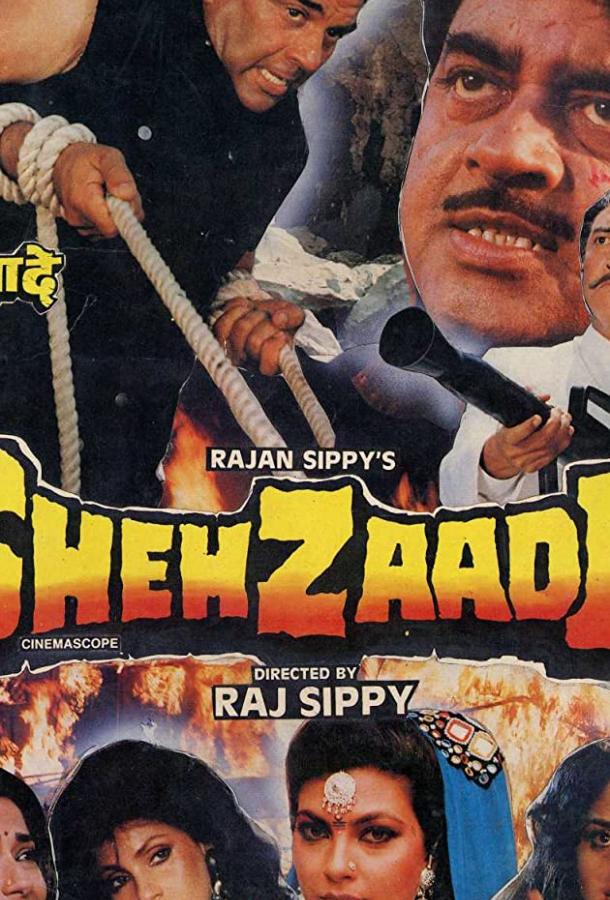 Преступник / Shehzaade (1989) 