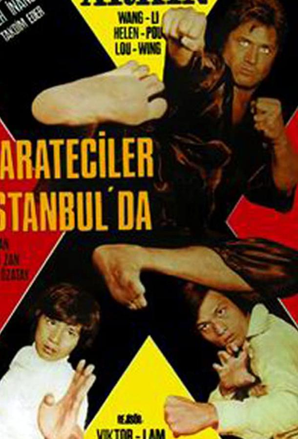 Каратисты в Стамбуле / Karateciler Istanbul'da (1974) 