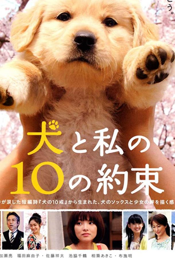 10 обещаний моей собаке / Inu to watashi no 10 no yakusoku (2008) 
