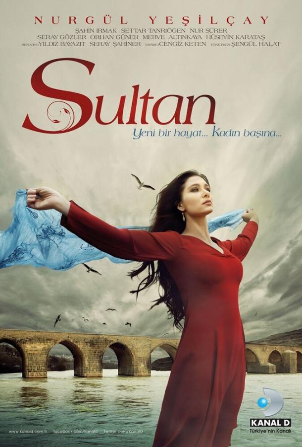 онлайн, без рекламы! Султан / Sultan (2012) 