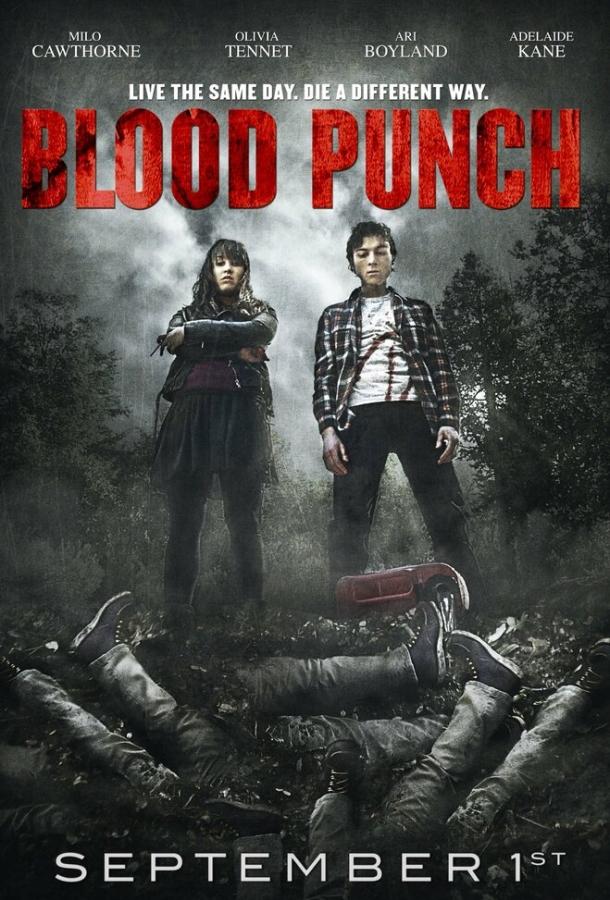 онлайн, без рекламы! Кровавый пунш / Blood Punch (2014)