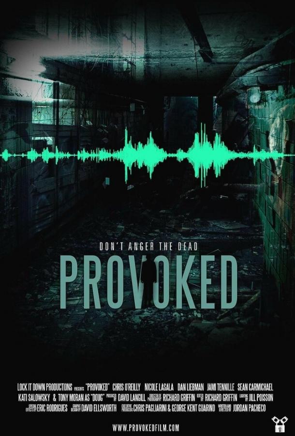Спровоцированный / Provoked (2013) 